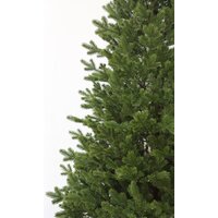 Ель GrandSiti Салерно 1.8 м 101-433 - Изображение №3 — Chaika Market