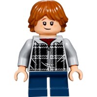 Конструктор LEGO Harry Potter 75955 Хогвартс-экспресс - Изображение №11 — Chaika Market