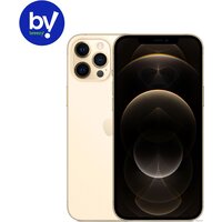 Смартфон Apple iPhone 12 Pro 256GB Восстановленный by Breezy, грейд B (золотистый) — Chaika Market