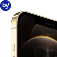 Смартфон Apple iPhone 12 Pro 256GB Восстановленный by Breezy, грейд B (золотистый) - Изображение №2 — Chaika Market
