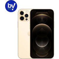 Смартфон Apple iPhone 12 Pro 256GB Восстановленный by Breezy, грейд B (золотистый) - Изображение №2 — Chaika Market