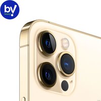 Смартфон Apple iPhone 12 Pro 256GB Восстановленный by Breezy, грейд B (золотистый) - Изображение №3 — Chaika Market