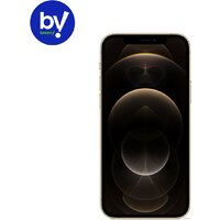 Смартфон Apple iPhone 12 Pro 256GB Восстановленный by Breezy, грейд B (золотистый) — Chaika Market
