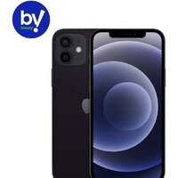 Смартфон Apple iPhone 12 256GB Восстановленный by Breezy, грейд B (черный) - Изображение №1 — Chaika Market