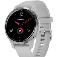 Умные часы Garmin Venu 2S (нержавеющая сталь/серый) — Chaika Market