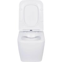 Унитаз подвесной Asten Readle Zentralmodul AR0601-135B - Изображение №13 — Chaika Market