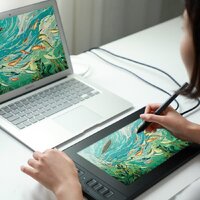 Графический монитор Gaomon PD1161 - Изображение №3 — Chaika Market