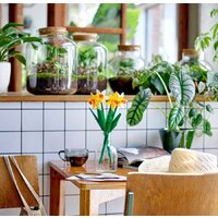 Конструктор LEGO Creator Expert 40646 Нарциссы - Изображение №4 — Chaika Market