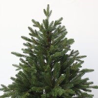 Ель GrandSiti Виола 2.1 м 101-424 - Изображение №2 — Chaika Market