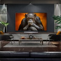 OLED телевизор LG OLED evo AI G5 OLED48G56LS - Изображение №9 — Chaika Market