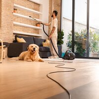 Пылесос Cecotec Conga Rockstar Cyclonic XL ProAnimal - Изображение №7 — Chaika Market