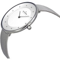 Наручные часы Skagen SKW2140 - Изображение №4 — Chaika Market