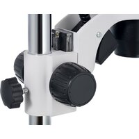 Микроскоп Levenhuk ZOOM 1B бинокулярный 76056 - Изображение №9 — Chaika Market
