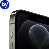 Смартфон Apple iPhone 12 Pro 256GB Восстановленный by Breezy, грейд A (графитовый) - Изображение №2 — Chaika Market