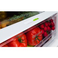 Холодильник Amica FK3356.4GBDFZAA - Изображение №10 — Chaika Market