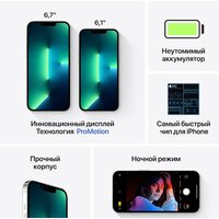 Смартфон Apple iPhone 13 Pro Max 128GB Восстановленный by Breezy, грейд B (серебристый) - Изображение №7 — Chaika Market