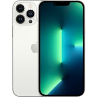 Смартфон Apple iPhone 13 Pro Max 128GB Восстановленный by Breezy, грейд B (серебристый) — Chaika Market