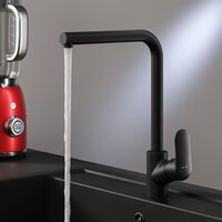 Кухонная мойка БелЭворс Styl R + Like F8005022 (черный) - Изображение №9 — Chaika Market