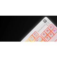 Клавиатура SteelSeries Apex 3 TKL (белый, нет кириллицы) - Изображение №5 — Chaika Market