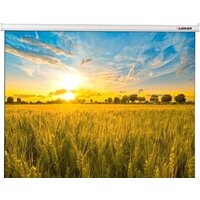 Проекционный экран Lumien Eco Picture 153x272 LEP-100119 — Chaika Market