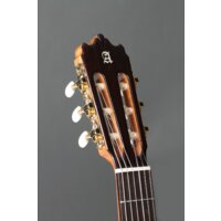 Акустическая гитара Alhambra Student Iberia Ziricote - Изображение №5 — Chaika Market