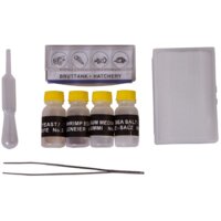 Детский микроскоп Bresser National Geographic 40–1024x в кейсе 69368 - Изображение №8 — Chaika Market