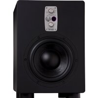 Купить студийный сабвуфер EVE Audio TS108 — Chaika Market Студийный сабвуфер EVE Audio TS108 — Chaika Market