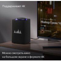 Умная колонка Яндекс Станция Макс (с хабом умного дома Zigbee, графит) - Изображение №5 — Chaika Market