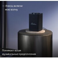Умная колонка Яндекс Станция Макс (с хабом умного дома Zigbee, графит) - Изображение №9 — Chaika Market
