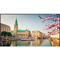 Информационная панель Vestel PN43B-4H — Chaika Market