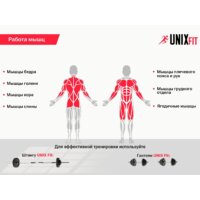 Силовая скамья Unixfit Bench 120P - Изображение №6 — Chaika Market