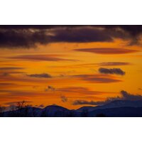 Объектив Tamron 150-500mm F/5-6.7 Di III VC VXD для Fujifilm X - Изображение №5 — Chaika Market