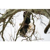 Объектив Tamron 150-500mm F/5-6.7 Di III VC VXD для Fujifilm X - Изображение №10 — Chaika Market