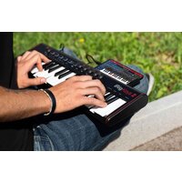 Рабочая станция IK Multimedia iRig Keys 2 IP-IRIG-KEYS2-IN - Изображение №26 — Chaika Market