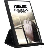 Портативный монитор ASUS ZenScreen MB166C - Изображение №3 — Chaika Market