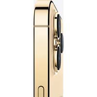 Смартфон Apple iPhone 13 Pro Max 256GB Восстановленный by Breezy, грейд B (золотистый) - Изображение №5 — Chaika Market