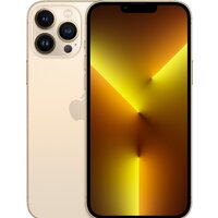 Смартфон Apple iPhone 13 Pro Max 256GB Восстановленный by Breezy, грейд B (золотистый) — Chaika Market