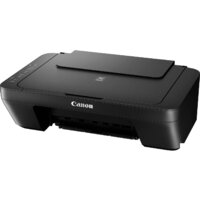 МФУ Canon PIXMA MG2555S 0727C026 — Chaika Market