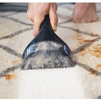 Пылесос Bissell SpotClean Pro 1558N - Изображение №3 — Chaika Market
