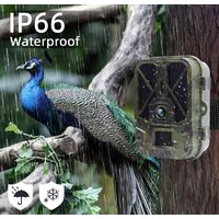 Фотоловушка Suntek HC-940A - Изображение №4 — Chaika Market