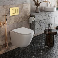 Унитаз подвесной Roxen Antares в комплекте с инсталляцией StounFix Dual Fresh 6 в 1 968451 (кнопка: брашированное золото) - Изображение №2 — Chaika Market