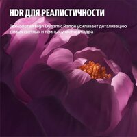 Телевизор Яндекс ТВ Станция Бейсик QLED с Алисой 55 - Изображение №12 — Chaika Market