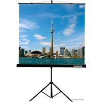 Проекционный экран Lumien Eco View (LEV-100101) — Chaika Market