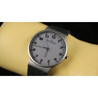 Наручные часы Skagen SKW6097 - Изображение №20 — Chaika Market