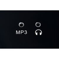 Электрическая беговая дорожка Titanium Masters Physiotech TLC - Изображение №13 — Chaika Market