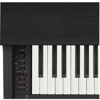 Цифровое пианино Casio Celviano AP-270 (черный) - Изображение №4 — Chaika Market