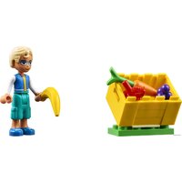 Конструктор LEGO Friends 41701 Рынок уличной еды - Изображение №10 — Chaika Market