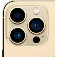 Смартфон Apple iPhone 13 Pro Max 256GB Восстановленный by Breezy, грейд A (золотистый) - Изображение №4 — Chaika Market