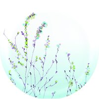 Набор тарелок Luminarc Simply Trompette Turquoise V2715 (44 пр) - Изображение №6 — Chaika Market