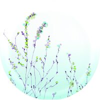 Набор тарелок Luminarc Simply Trompette Turquoise V2715 (44 пр) - Изображение №7 — Chaika Market